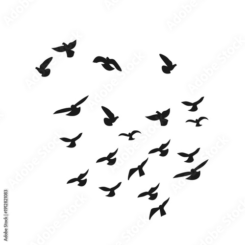 Flock Of Bird Flying Silhouette 
