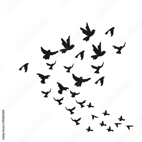 Flock Of Bird Flying Silhouette 