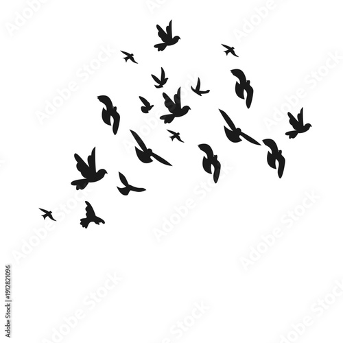 Flock Of Bird Flying Silhouette 