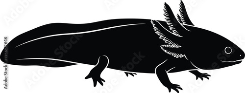 Illustration of an axolotl from side view showing its feathery gills and limbs in a simple black silhouette style