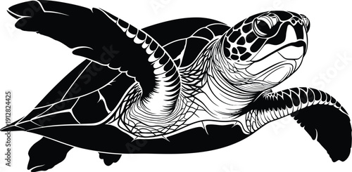 Sea turtle swimming underwater with fins outstretched in ocean environment viewed from side