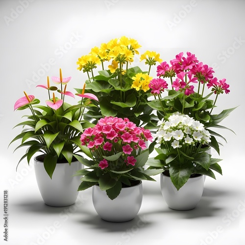 Wallpaper Mural Assortment of Vibrant Potted Flowering Plants: Geraniums, Anthuriums, Hydrangeas Torontodigital.ca