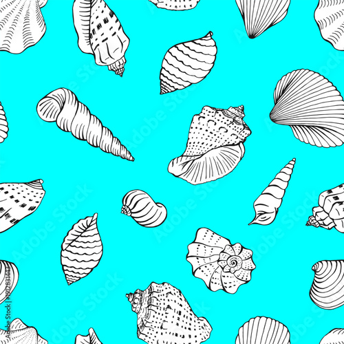 Seamless pattern with seashells. Marine background. Hand drawn vector illustration.