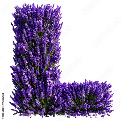 Alphabet letter l made from fresh lavender flowers isolated on transparency background, creative floral design concept