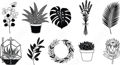 Black and white botanical icons set featuring potted houseplants succulents monstera leaf lavender bouquet terrarium olive branch and floral wreath in vector style
