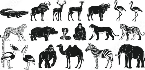 African safari animal silhouettes set, wild zoo wildlife collection with lion elephant zebra giraffe crocodile gorilla vector illustration isolated on white background