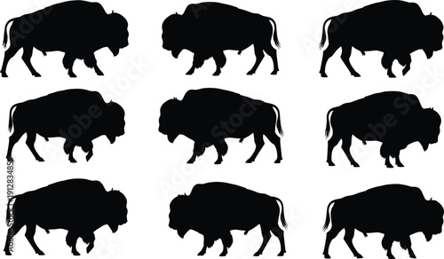 American bison silhouettes set, buffalo walking side view collection, wild west animal vector illustration isolated on white background