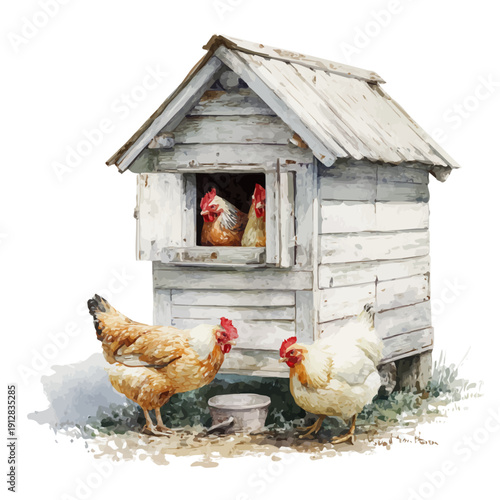 Chicken Coop, watercolor painting vector, isolated on a white background.