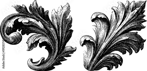 Elegant acanthus leaf and scroll collection for decorative design and art projects