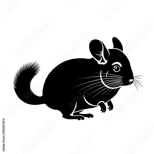 Black and white illustration of a chinchilla in a sitting position