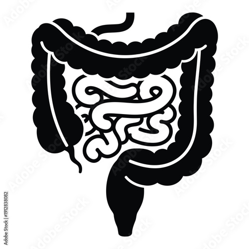 Detailed illustration of the human digestive system focusing on the intestines. isolated on white background, Vector