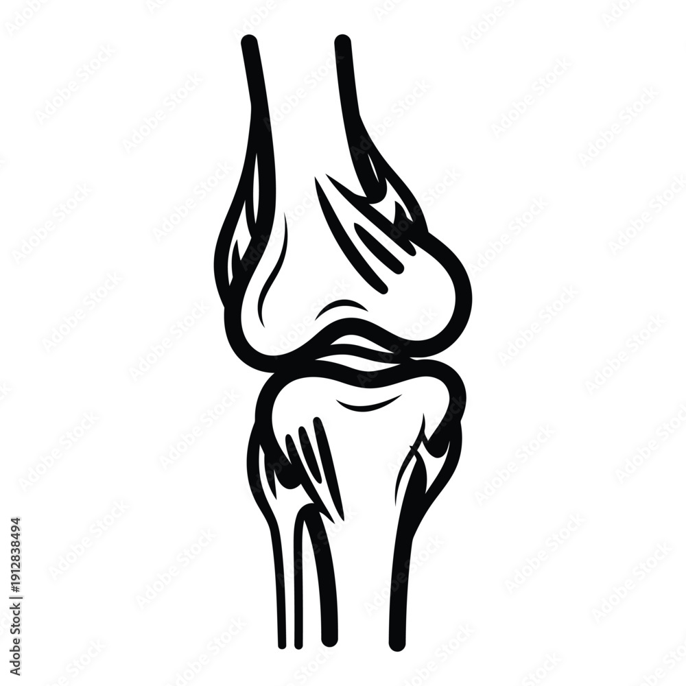 Obraz premium Detailed illustration of a human knee joint showcasing its complex structure and anatomy isolated on white background, Vector