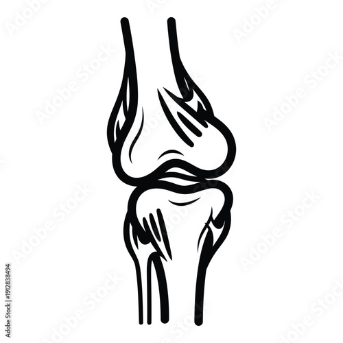 Detailed illustration of a human knee joint showcasing its complex structure and anatomy isolated on white background, Vector