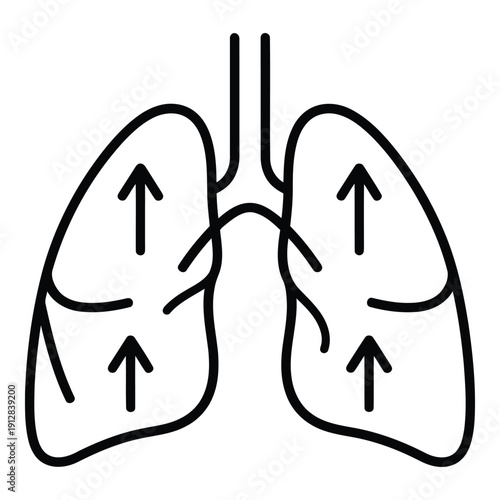 Illustration of the human respiratory system with arrows indicating airflow isolated on white background, Vector