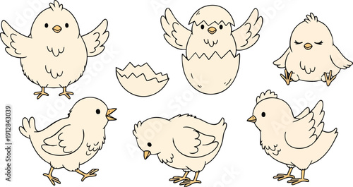 Hand drawn cute baby chick vector set with hatching chick and different poses in soft beige color isolated on white background illustrated in simple line art style