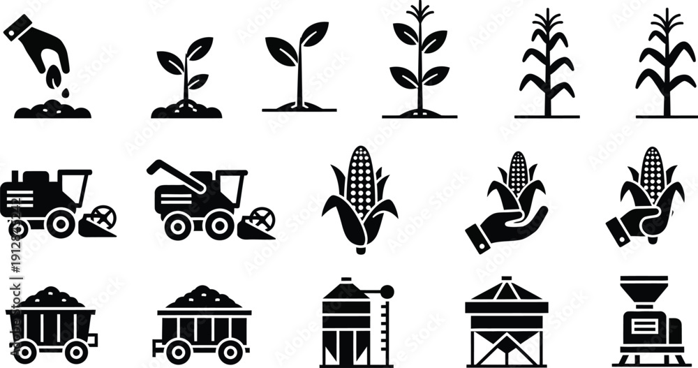 Fototapeta premium Agriculture and farming process from planting to harvesting and storage. 