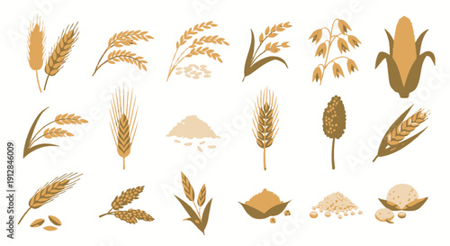 Collection of agricultural grain and cereal crop icons