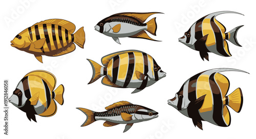 Collection of colorful striped tropical fish swimming on white