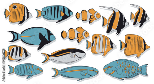 Collection of colorful tropical fish hand drawn style illustration