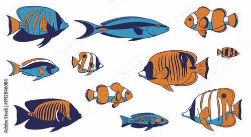 Collection of colorful tropical marine fish isolated on white