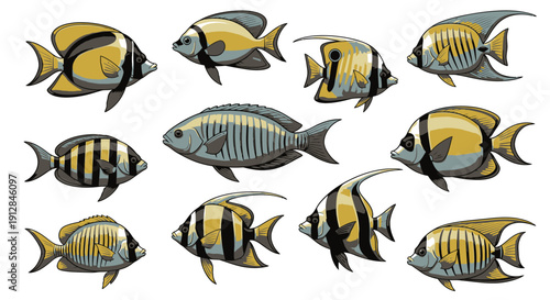 Collection of colorful tropical marine fish isolated vector illustration