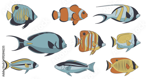 Collection of diverse colorful tropical fish illustrations on white background