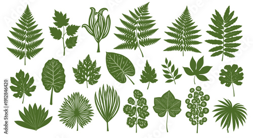 Collection of diverse green botanical leaves and plant elements