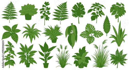 Collection of diverse green house plants and botanical illustrations