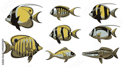 Collection of diverse tropical fish species on white background