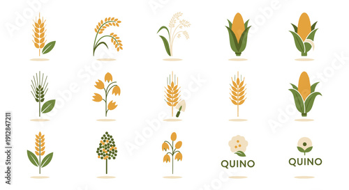 Collection of flat design grain and cereal plant icons