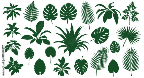 Collection of tropical plant and leaf silhouettes on white background