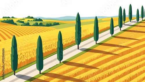Scenic landscape with cypress trees and golden fields in summer