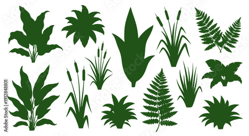 Collection of green plant silhouettes for nature design elements