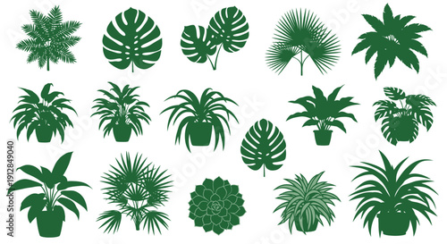 Collection of potted house plant silhouettes on white background