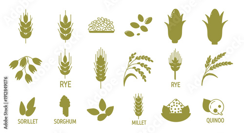 Collection of stylized tropical fish illustrations on white background