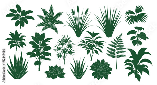 Diverse green plant silhouettes collection on white background