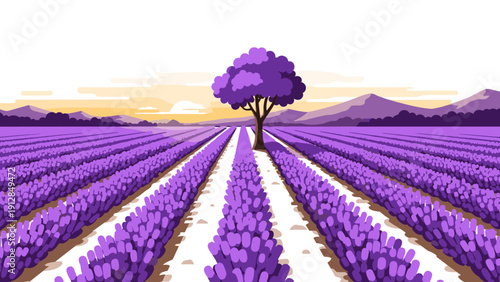 Vibrant lavender field at sunset with solitary tree and mountainous horizon