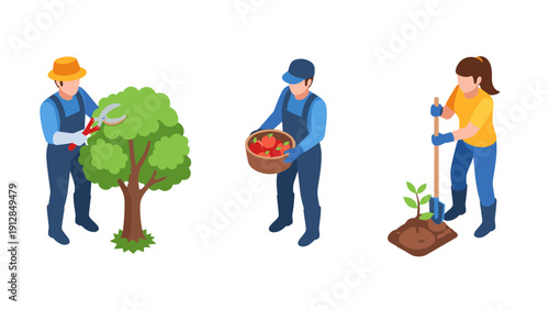 Isometric gardening activities: tree trimming, harvesting, and planting