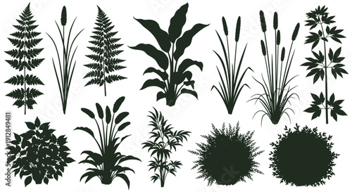 Diverse plant silhouettes collection for garden and nature design