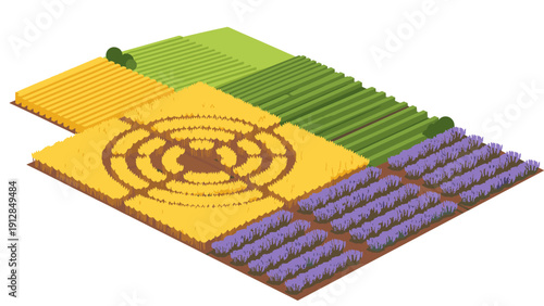 Isometric agricultural field layout with lavender, wheat, and corn
