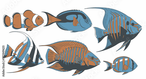 Diverse tropical fish illustrations in a stylized hand-drawn aesthetic