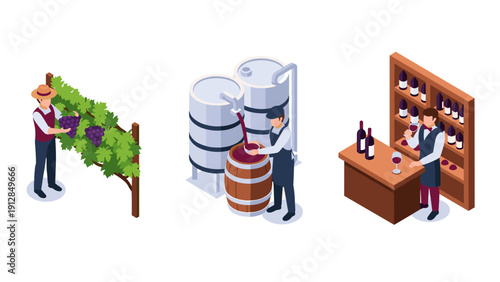 Isometric vineyard and wine production: harvesting, fermentation, tasting room activities