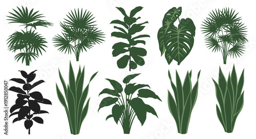 Collection of various green potted houseplants silhouettes on white