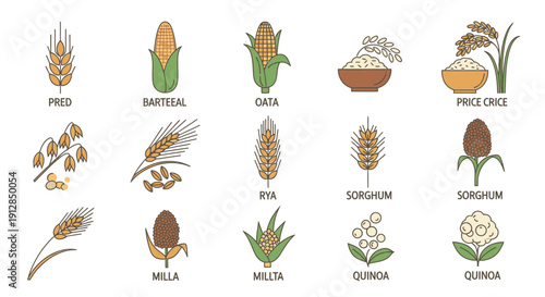 Diverse marine fish illustration set on white background