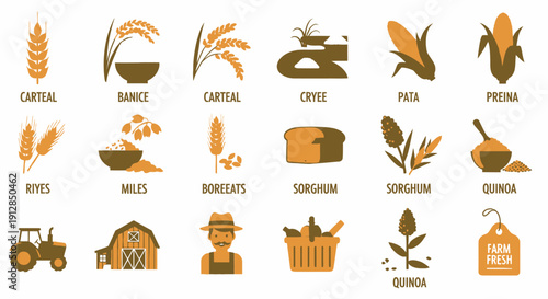 Flat design medical and healthcare icons collection