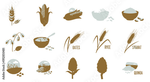 Flat icons set of various cereal grains and seeds