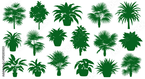 Green plant silhouettes collection with tropical and potted plants