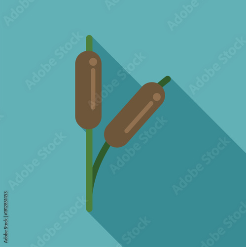 Cattail plants growing with a long shadow on a blue background