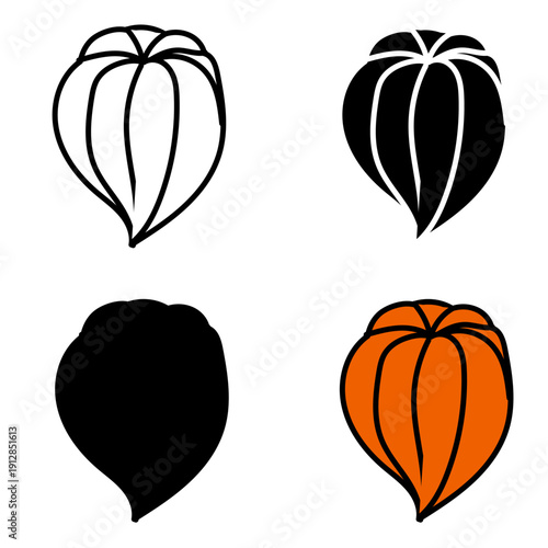 Physalis flower in four different styles: doodle, black and white silhouette, black silhouette, and cartoon. Vector illustration isolated on a white background.