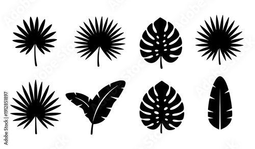 Black tropical palm and banana leaves vector collection with minimal botanical silhouettes